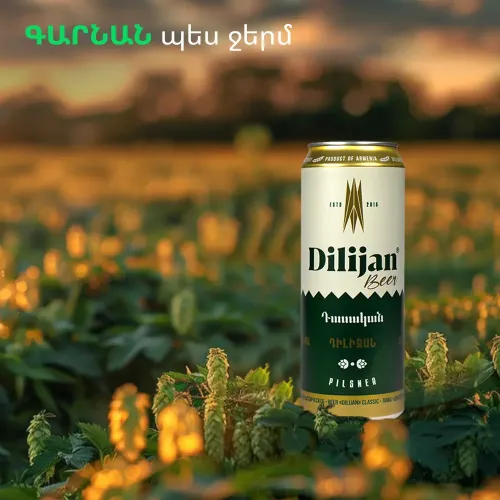 Bière filtrée et pasteurisée "Dilijan" Classic en canette 0,45CL 